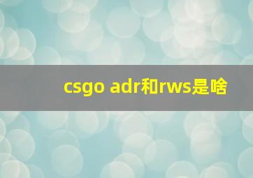 csgo adr和rws是啥